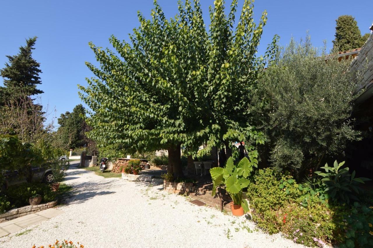 Baderna Apartment מראה חיצוני תמונה